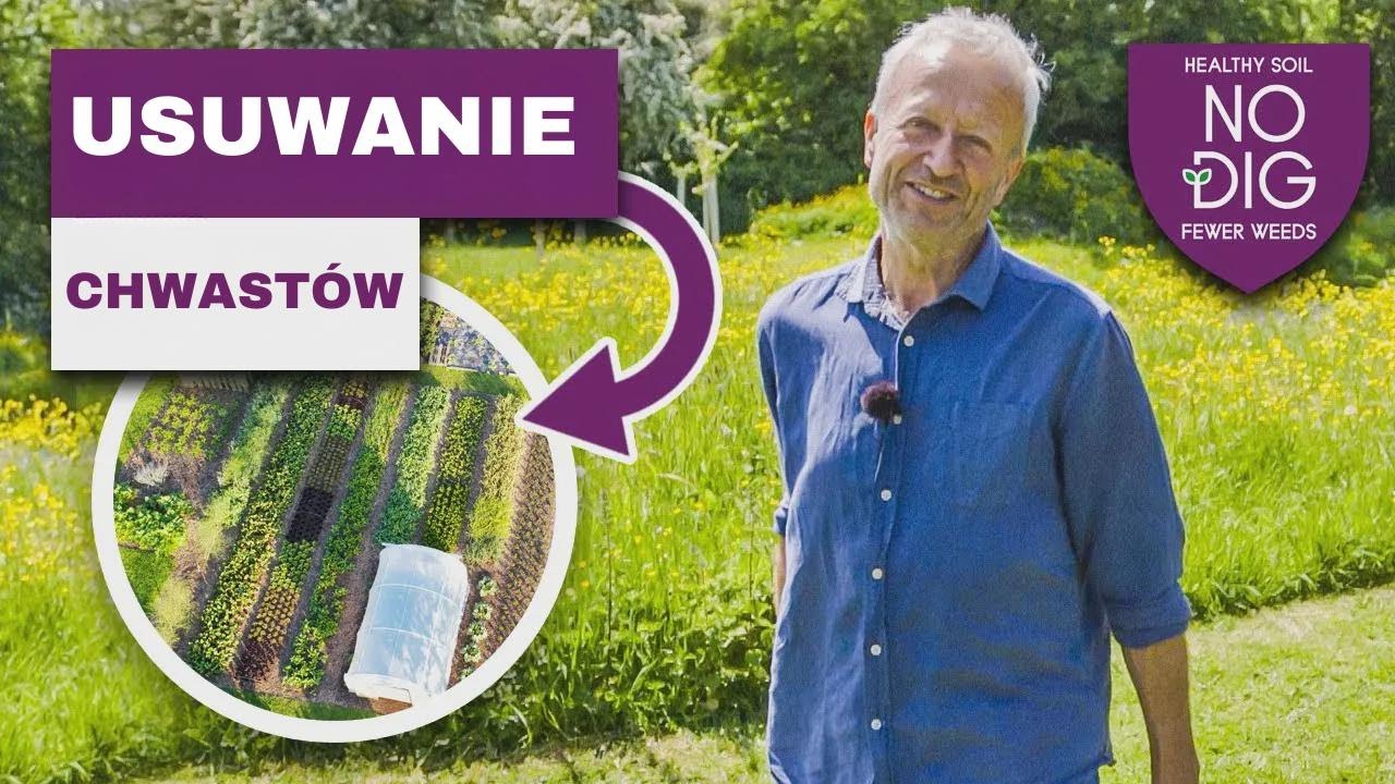 Usuwanie chwastów bez kopania, oszczędność czasu w dwa lata.