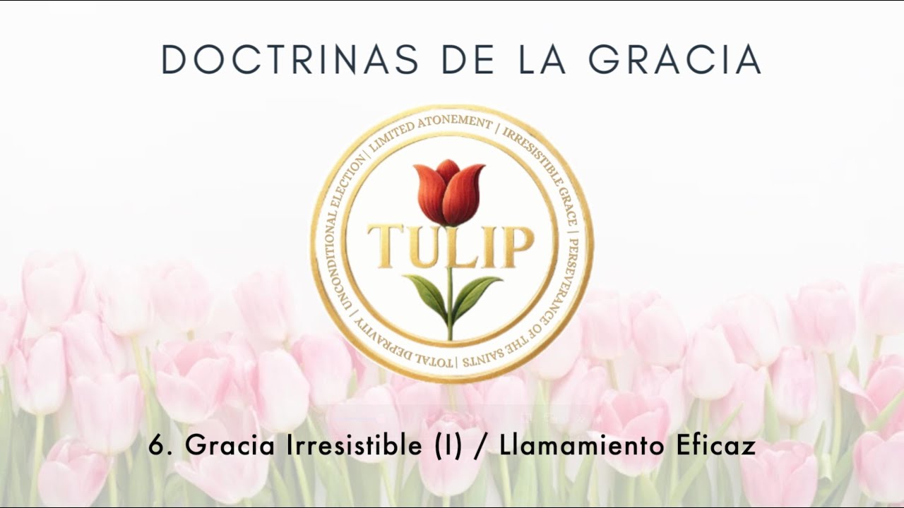 6. Gracia Irresistible (I) / Llamamiento Eficaz