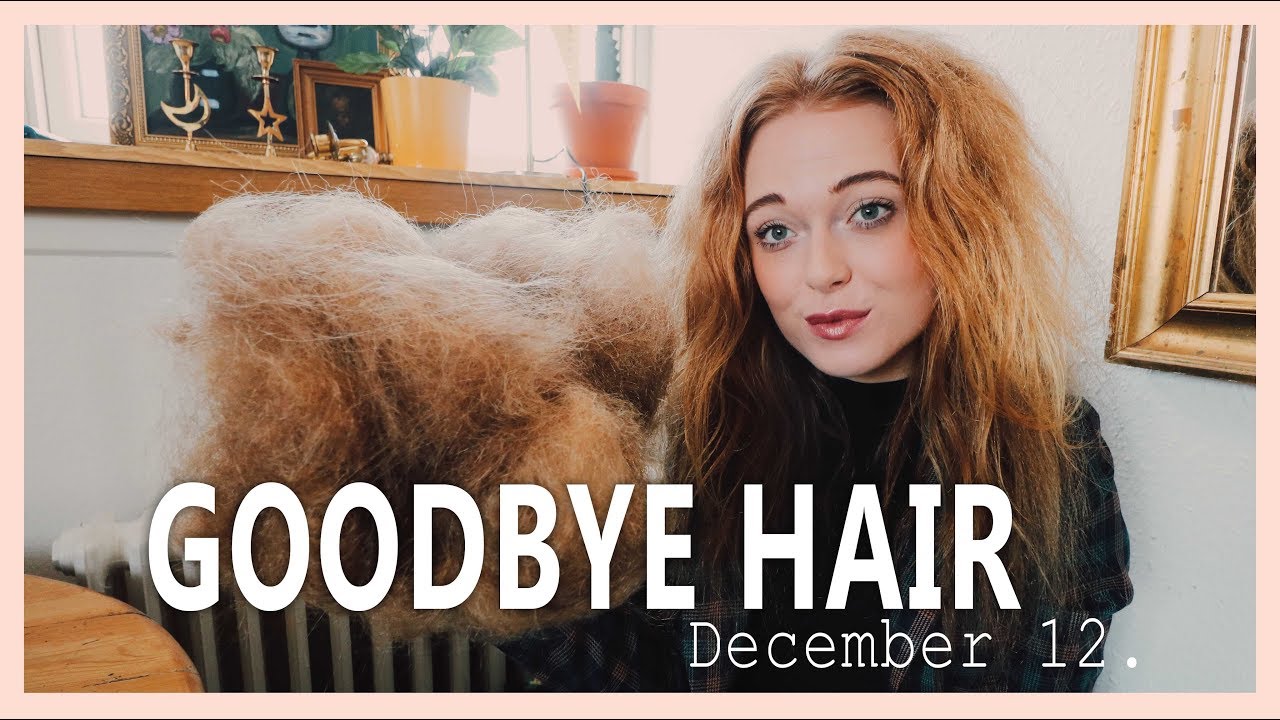 The results after brushing out my dreadlocks | 12