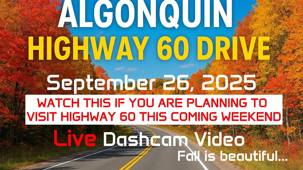 YOU NEED TO PAY IF YOU STOP ON THIS ROAD🌲 Live Dashcam 4K - Algonquin Highway 60 Scenic Road 🍁