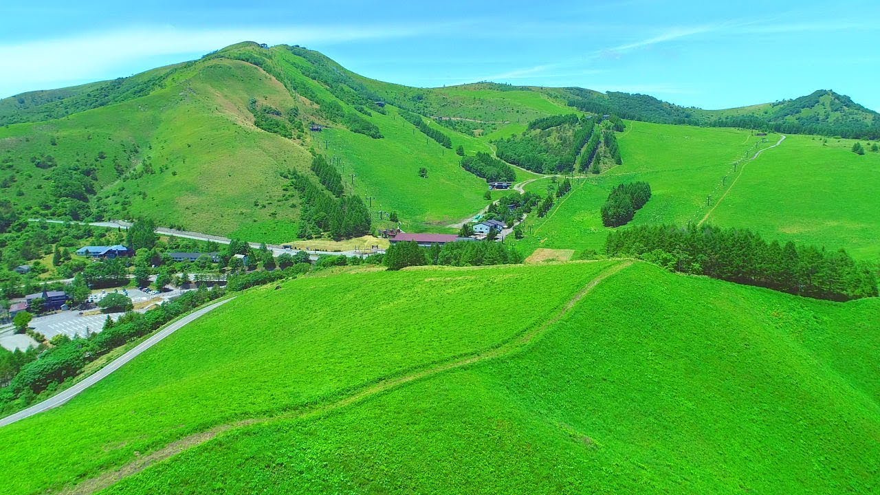 4K映像 絶景ドローン空撮「初夏の車山高原 ビーナスライン レンゲツツジ」日本の美しい四季 長野県茅野市 6月下旬 自然風景