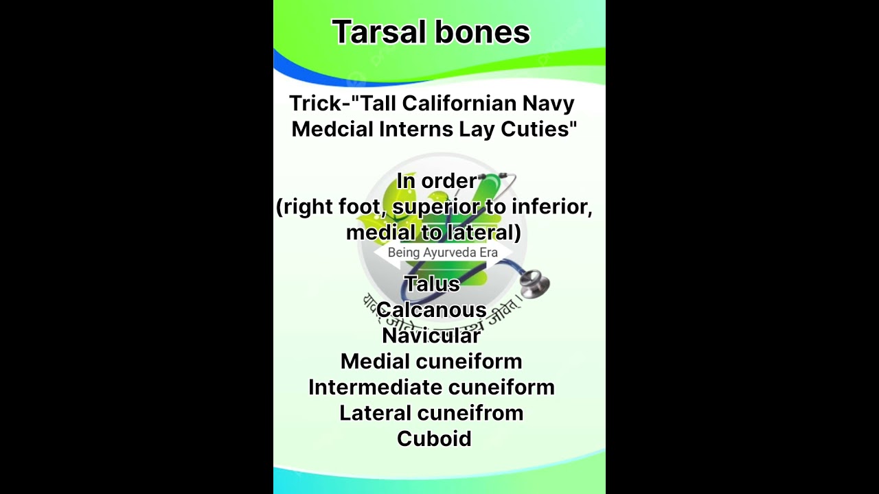 TARSAL BONES SHORT TRICK #ytshorts#humananatomy#anatomy#shorttrick#medico#tarsal#shortsfeed #shorts