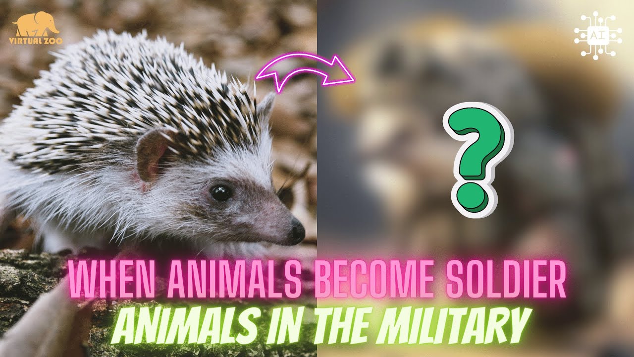 Animals in the Military ✨ A Unique Perspective