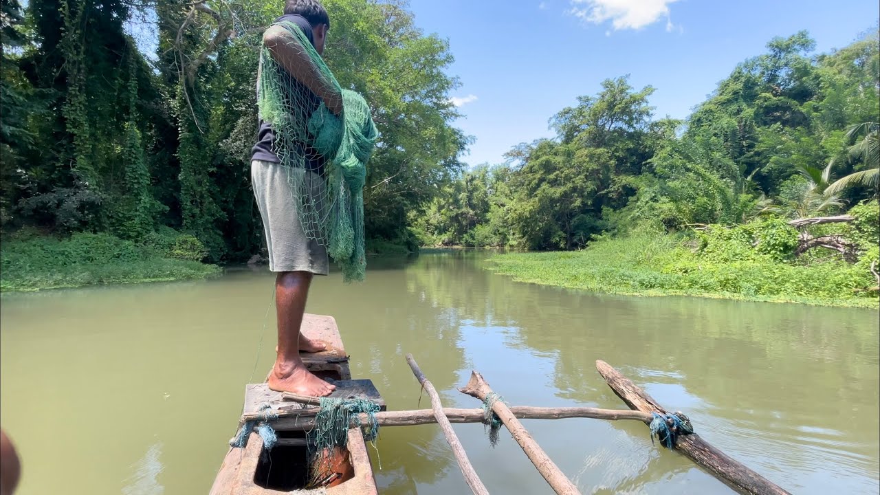 Amazing!!!!Sri Lankan🇱🇰cast net fishing | big fishcathing video