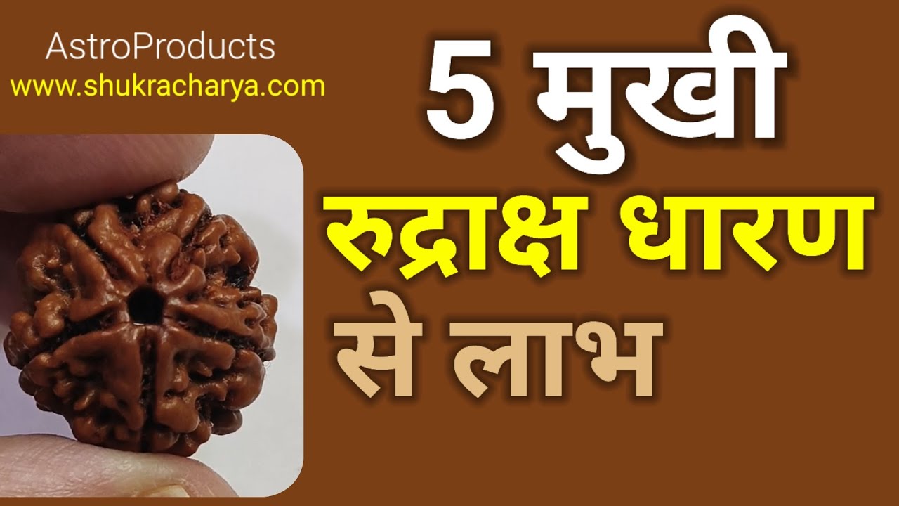 5 मुखी रुद्राक्ष धारण करने से लाभ || Rudraksha 5 Mukhi Benefits #5mukhirudraksha  #fivemukhi