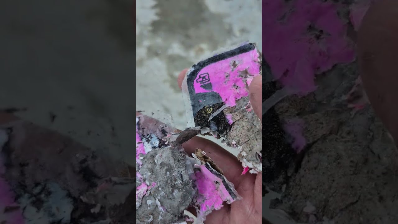 Destroyed iPhone 11