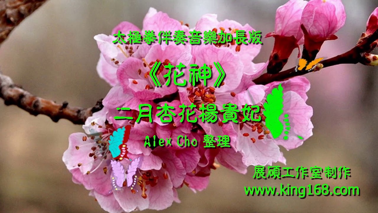 L089《二月花神杏花》太極拳伴奏音樂加長版 | 純音樂 | 禪修音樂 | 佛教音樂 | 減壓睡眠放鬆輕音樂 | Tai Chi - Relaxing Chinese Romantic Music