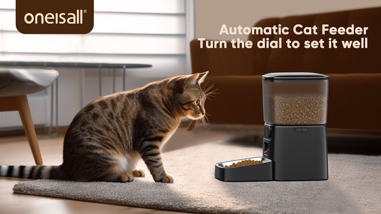 How to assemble and program oneisall cat feeder