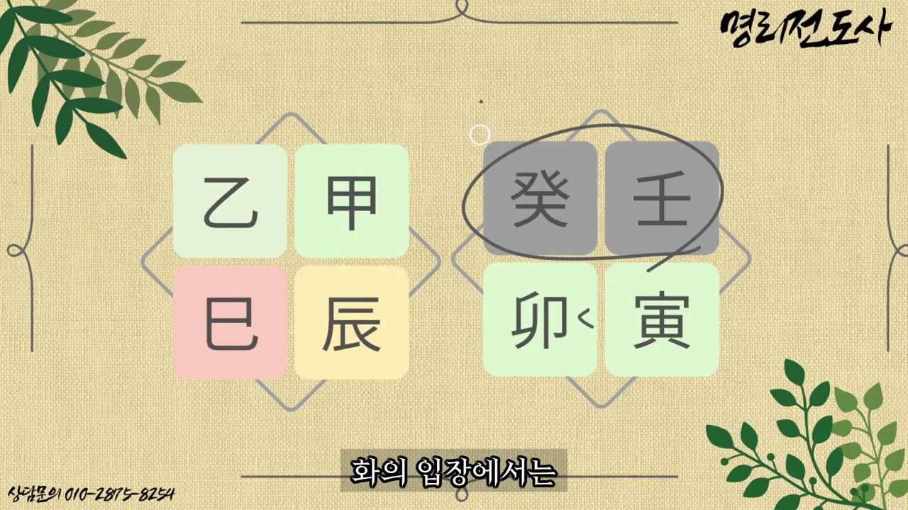 갑진년 오행의 입장차이