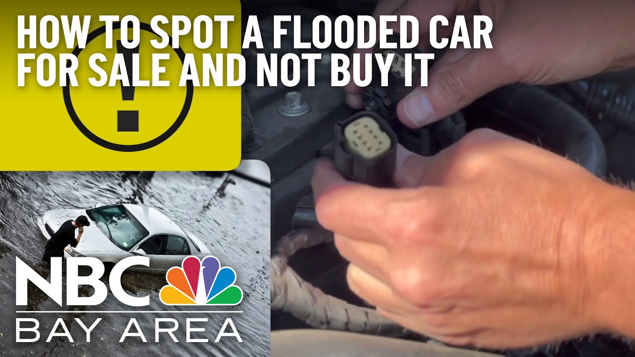 Explained: How to Spot a Flooded Car for Sale (And Not Buy It)