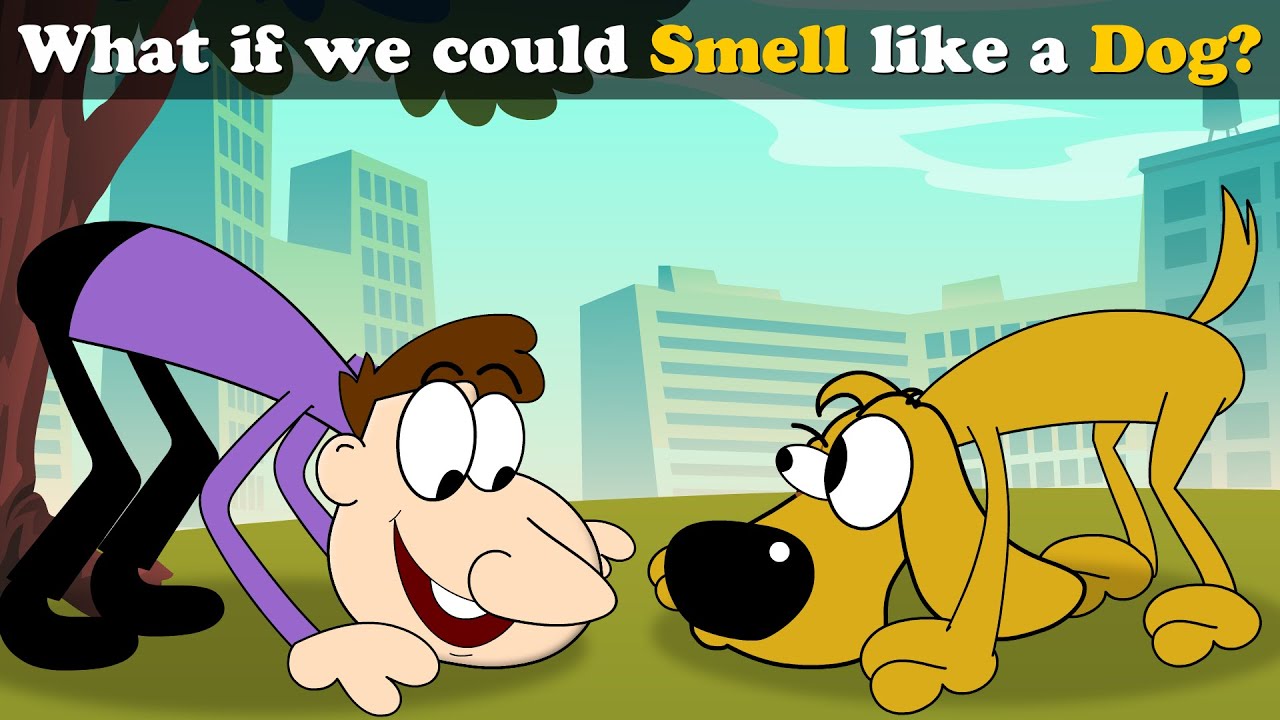 What if we could Smell like a Dog? + more videos | #aumsum #kids #children #education #whatif