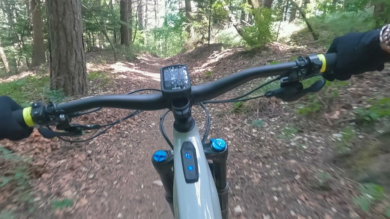 #5 - eMTB - DISCESA GAVINA DALLA CROCE - EREMO CARPEGNA - TURBO LEVO