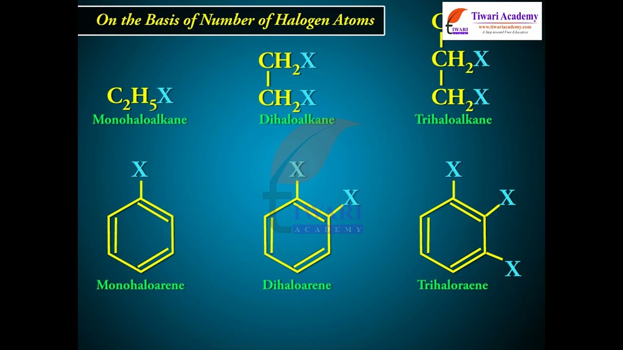 Class 12 Chemistry Classification of Haloalkanes and Haloarenes in Chapter 10 Haloalkanes Haloarenes