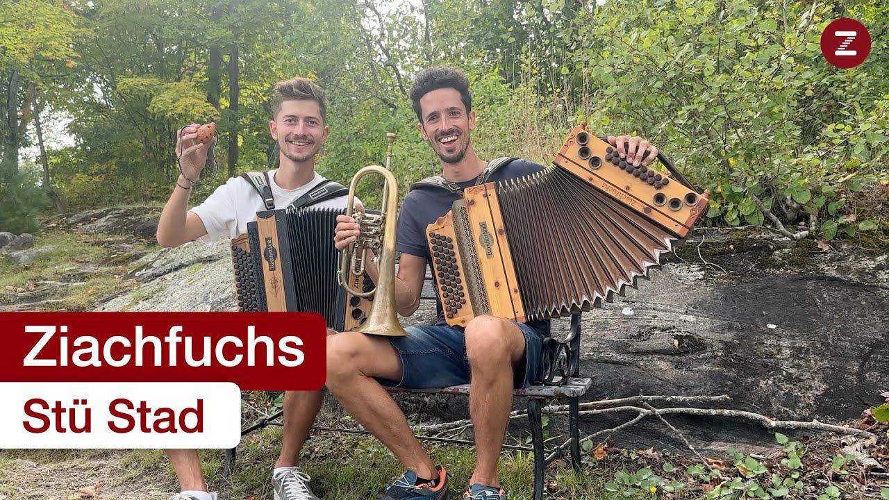 Stü Stad - Harmonikaschule Ziachfuchs