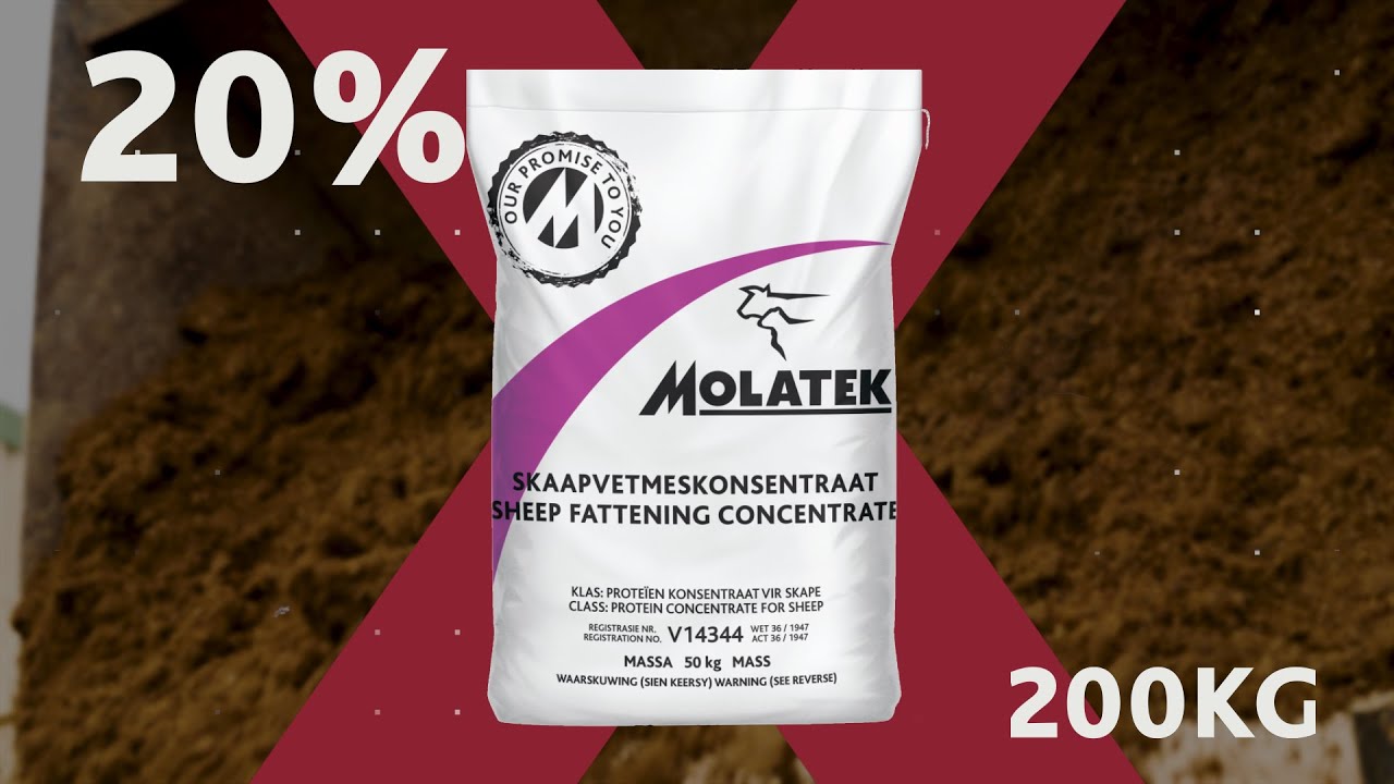 MOLATEK | Sheep Fattening Concentrate