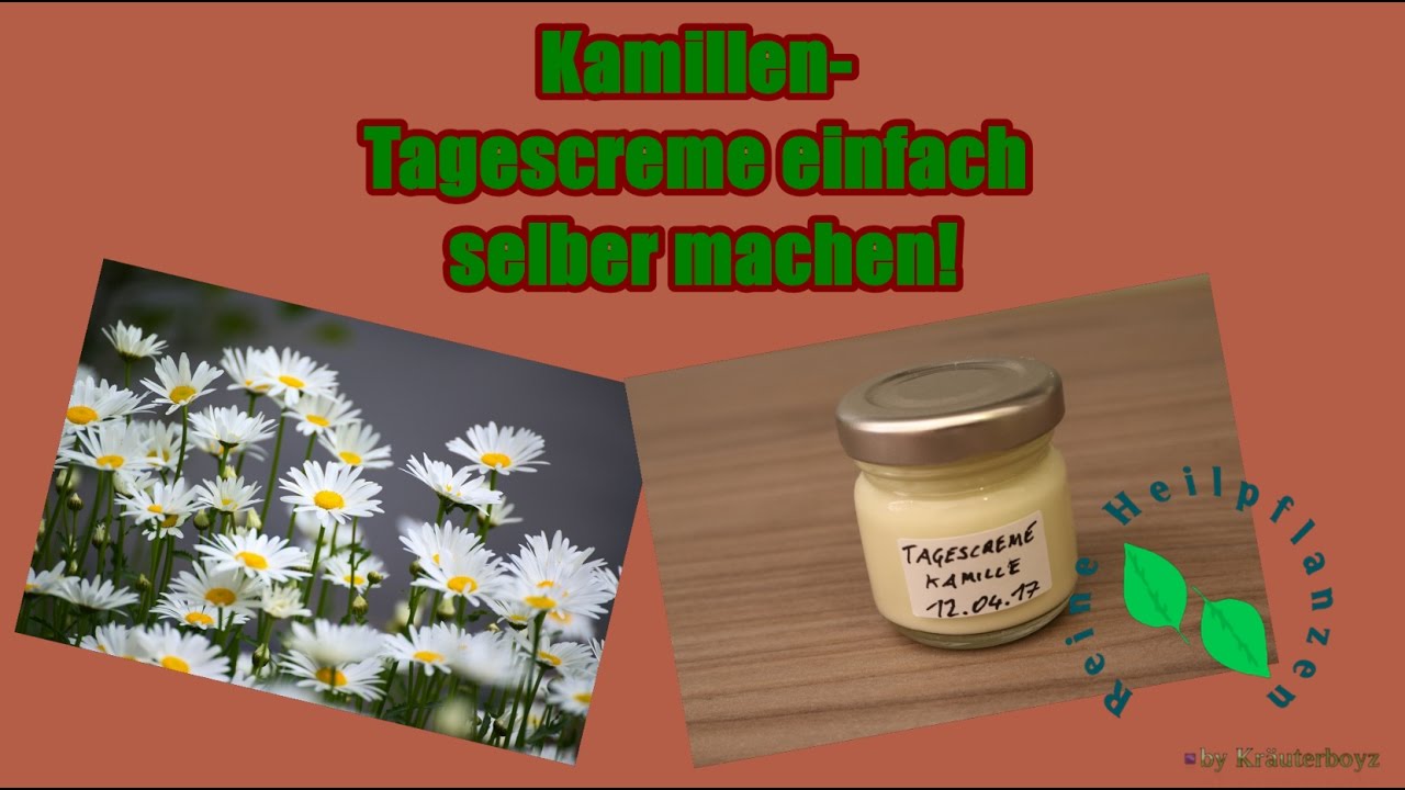 Tagescreme ganz einfach selber machen|Pflegende Creme|mit Kamille & Bio Pflanzenöl