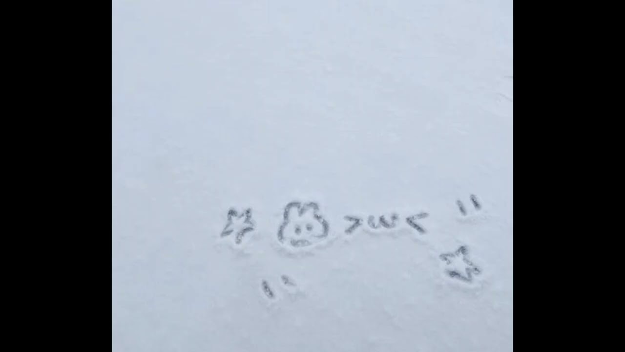 ginseng + misogi type beat 2025 