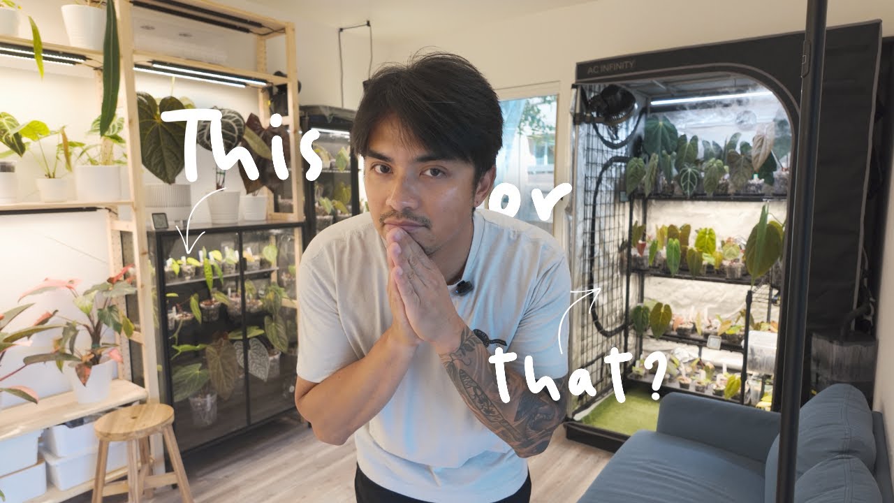 Grow Tent or Cabinet? Which One Should You Choose?