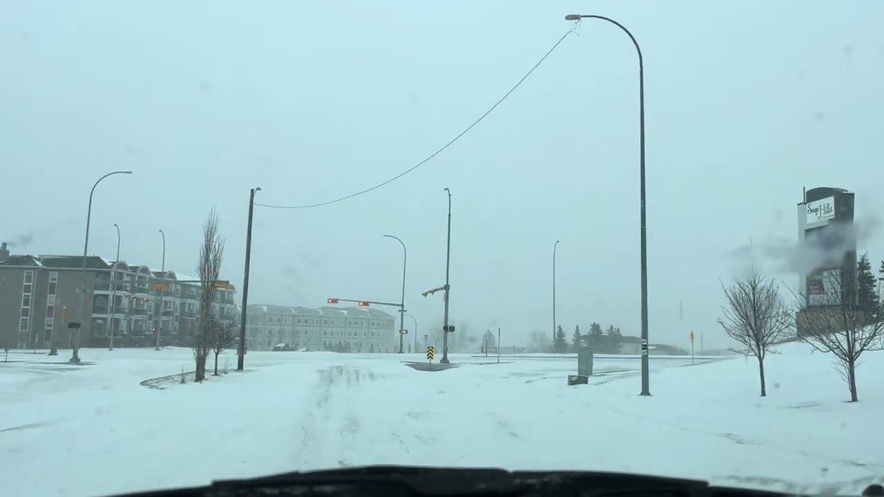 Driving in snow storm #lifeincanada #snowstorm 