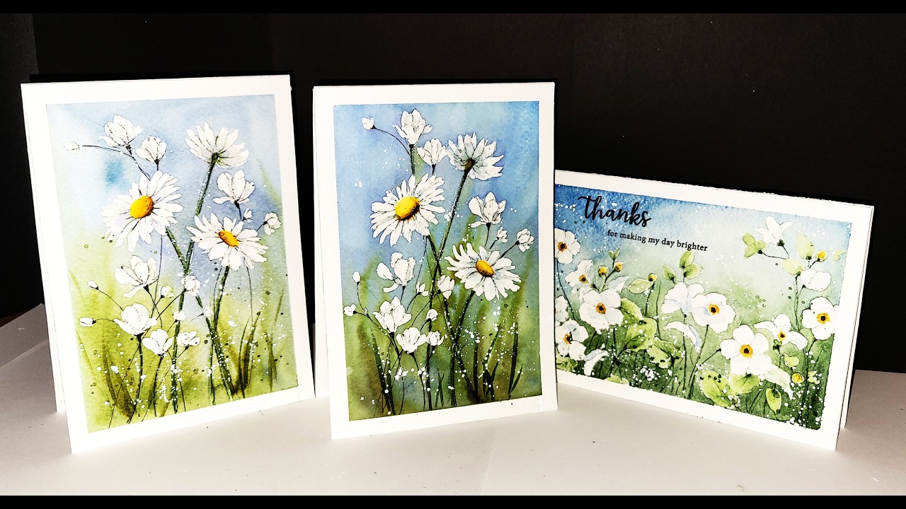 Marguerites et fleurs blanche