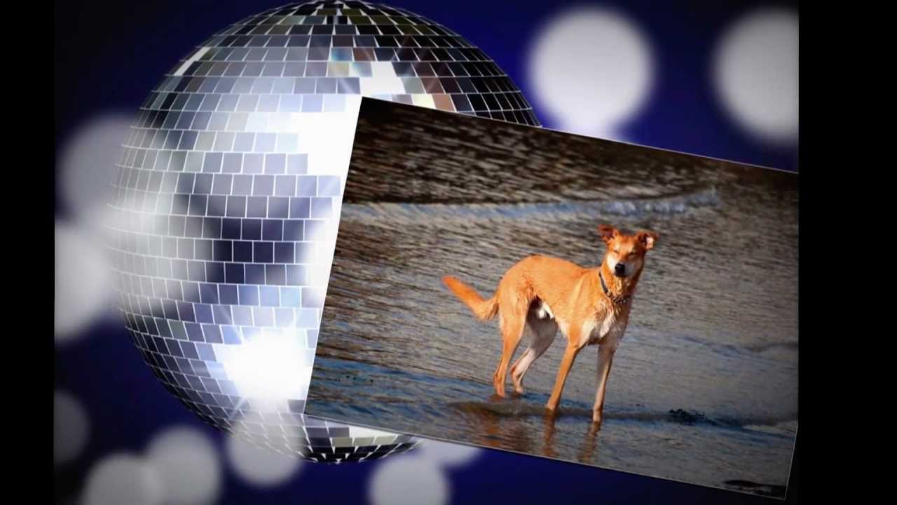 Kocsis Tibor - Győztes dala / You Raise Me Up