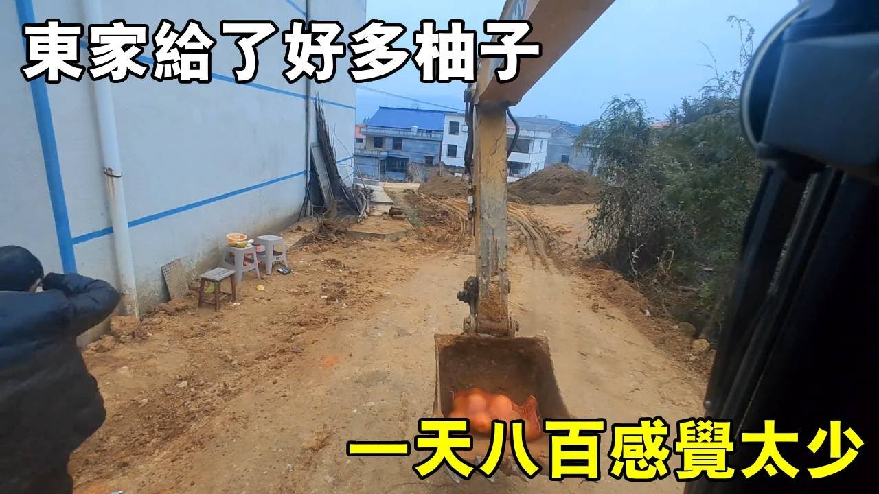 給東家幹活給了好多柚子，一天八百感覺太少，換了鬥齒能不能多賺點【陳師傅開挖機】