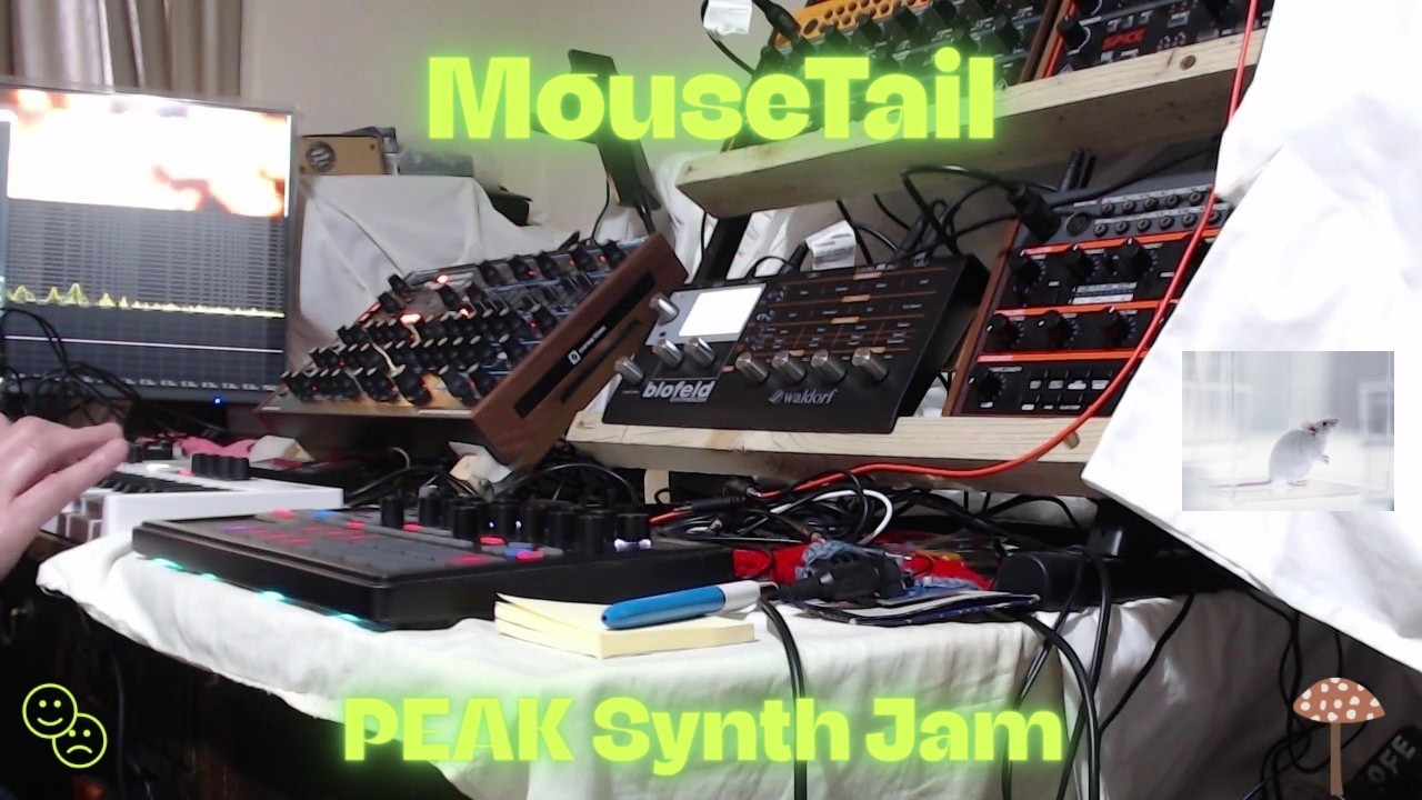 MouseTail | PEAK Synth Jam | 250226 |