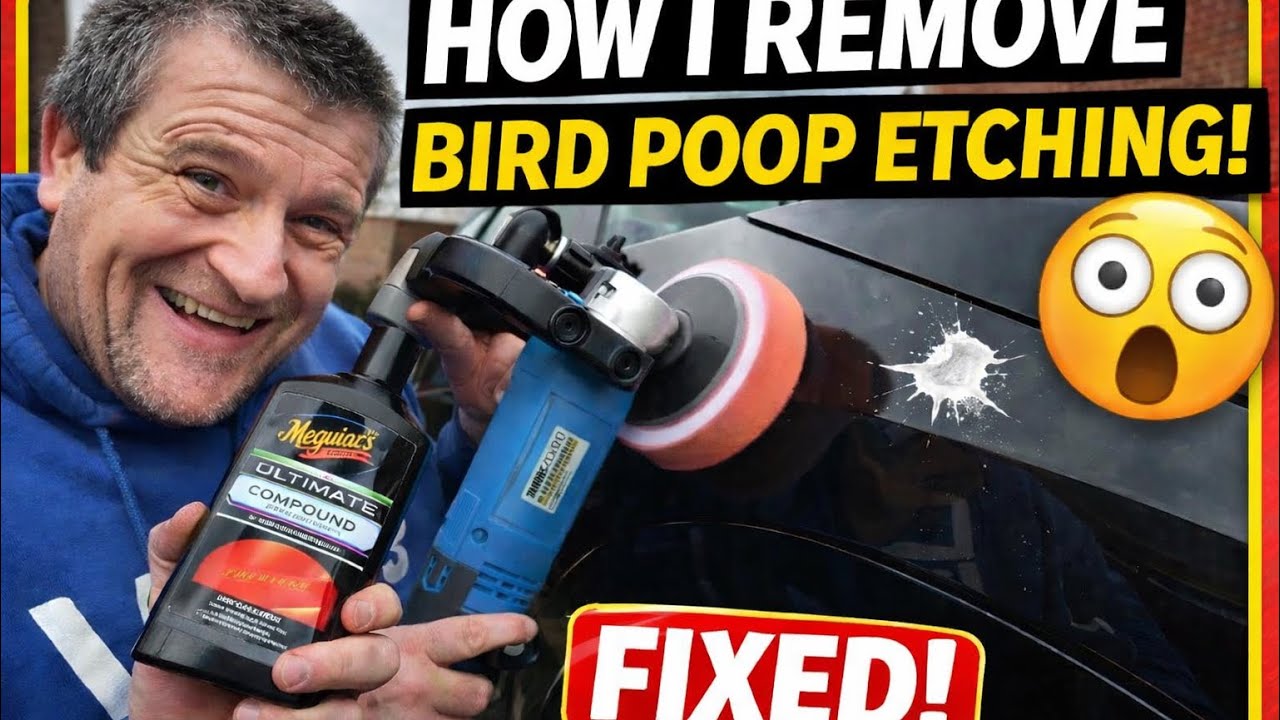 How I Fix Bird Poop Etching on Car Paint