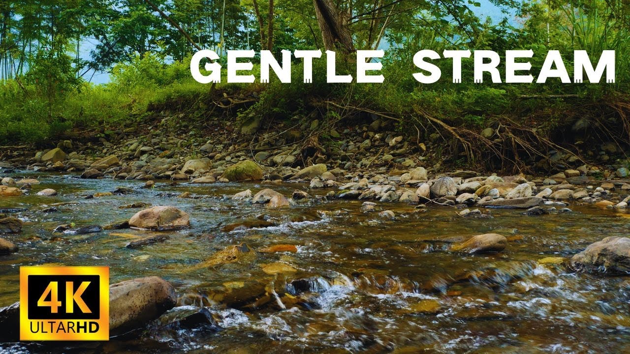 Gentle Stream Serenity - Flowing Water Sounds - Nature's Harmony - 8 Hours-Sleep/Relaxation/Study
