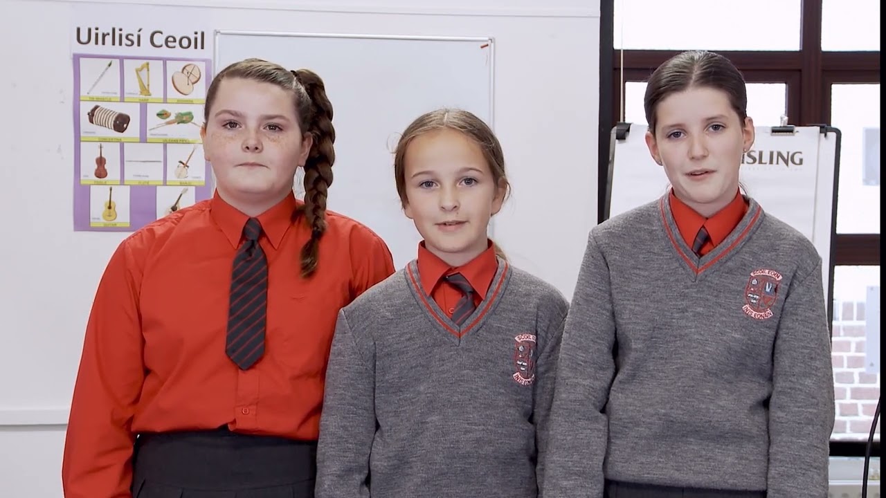 Cork County Council’s FrameWorks initiative at Scoil Eoin, Innishannon
