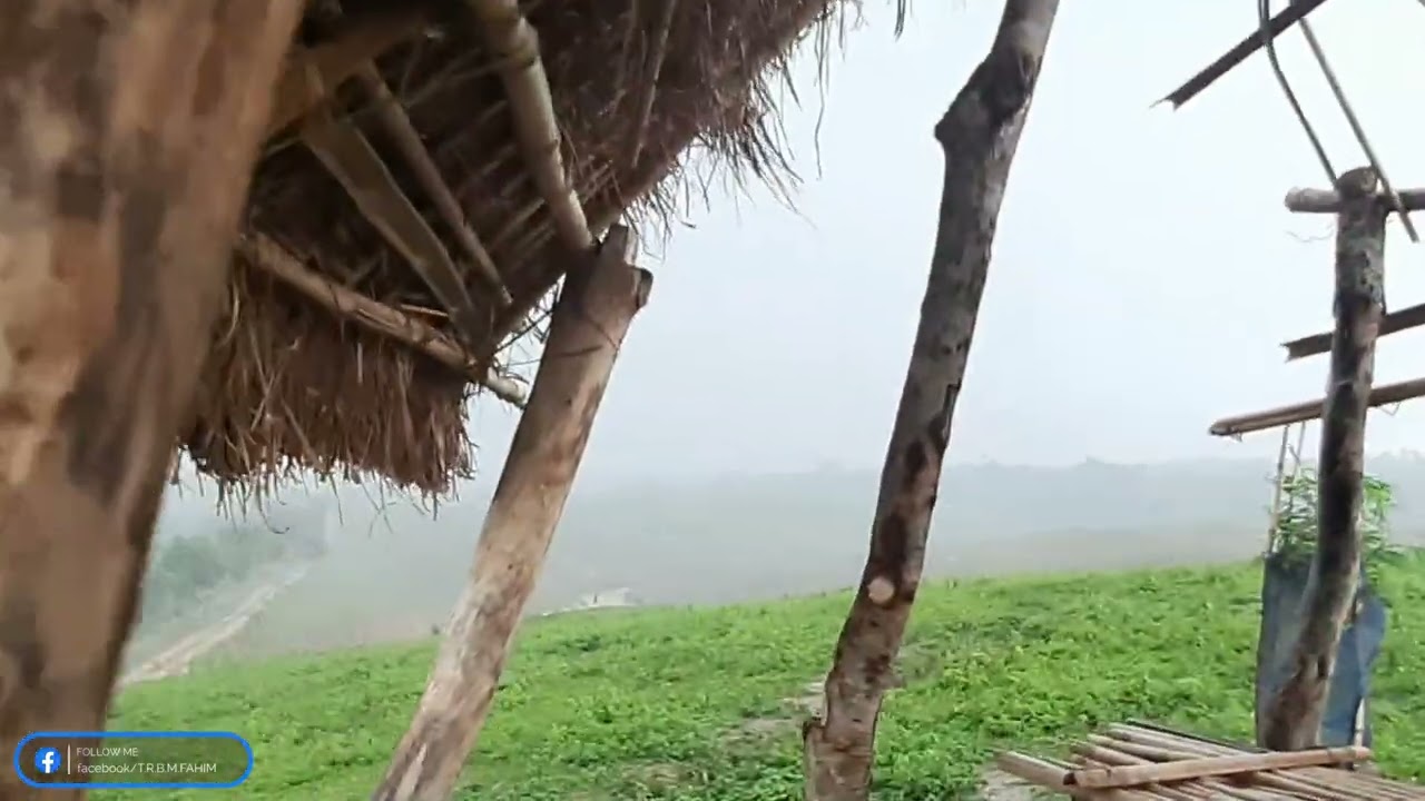 Bonsotti area Double Chora Beside Baghichora Lake Raining moment | Shamsher Nagar tea estate.