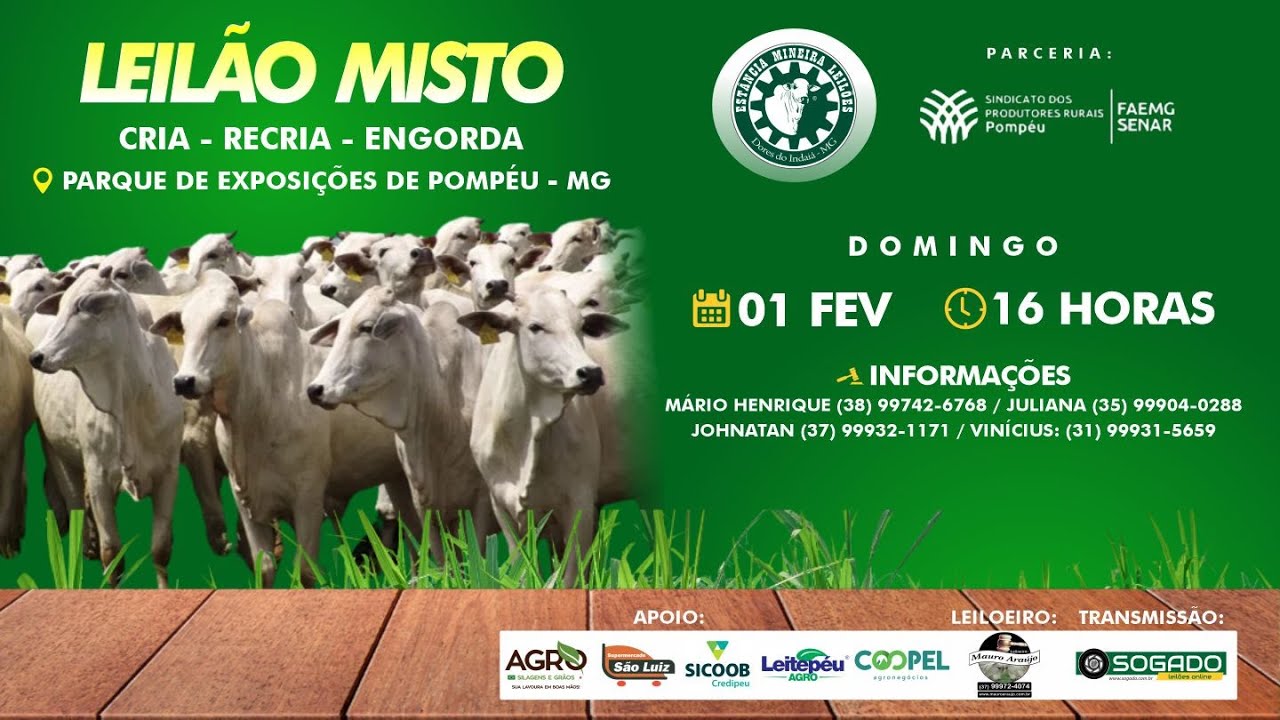 LEILÃO MISTO - ESTÂNCIA MINEIRA LEILÕES E SINDICATO DE POMPÉU/MG - 01/02/2026