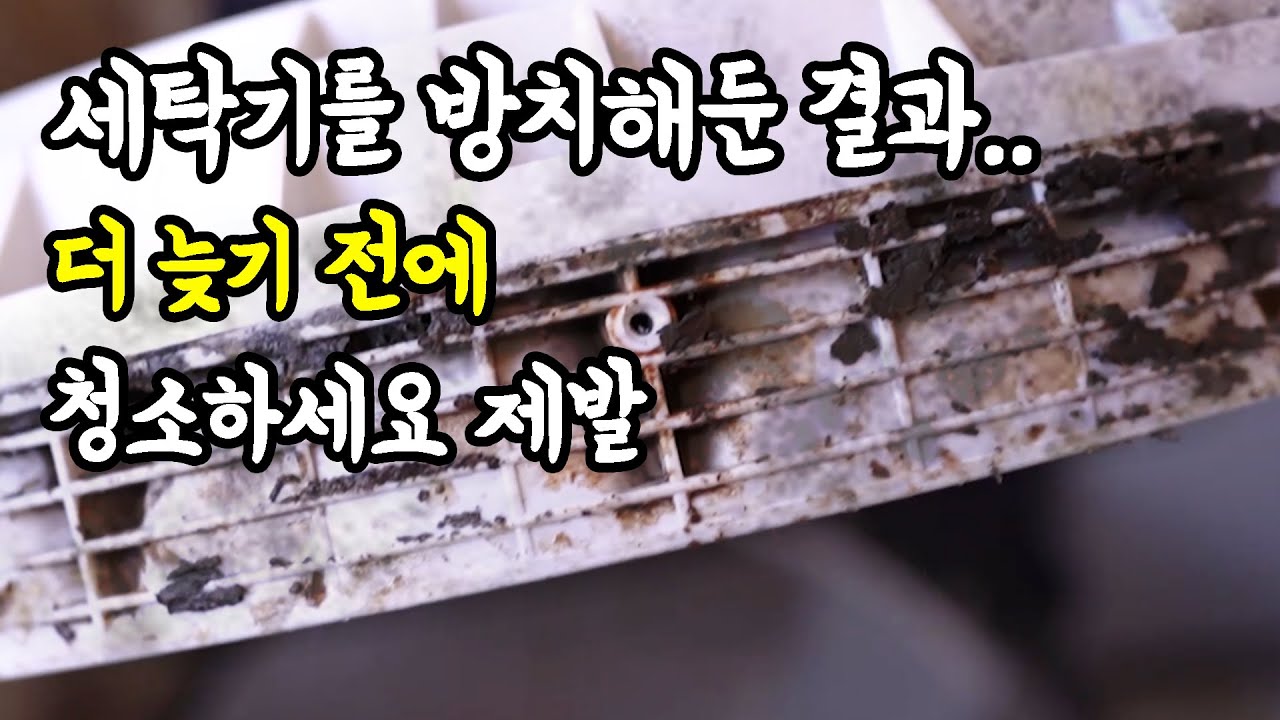 LG 10kg 통돌이 세탁기 분해 청소