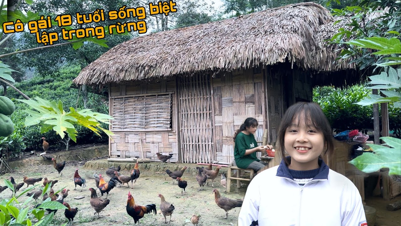 Cô Gái 18 Tuổi Sống Biệt Lập Trong Rừng Nuôi Gà Rừng, Tôi Ngỏ Lời Muốn Sống Chung.