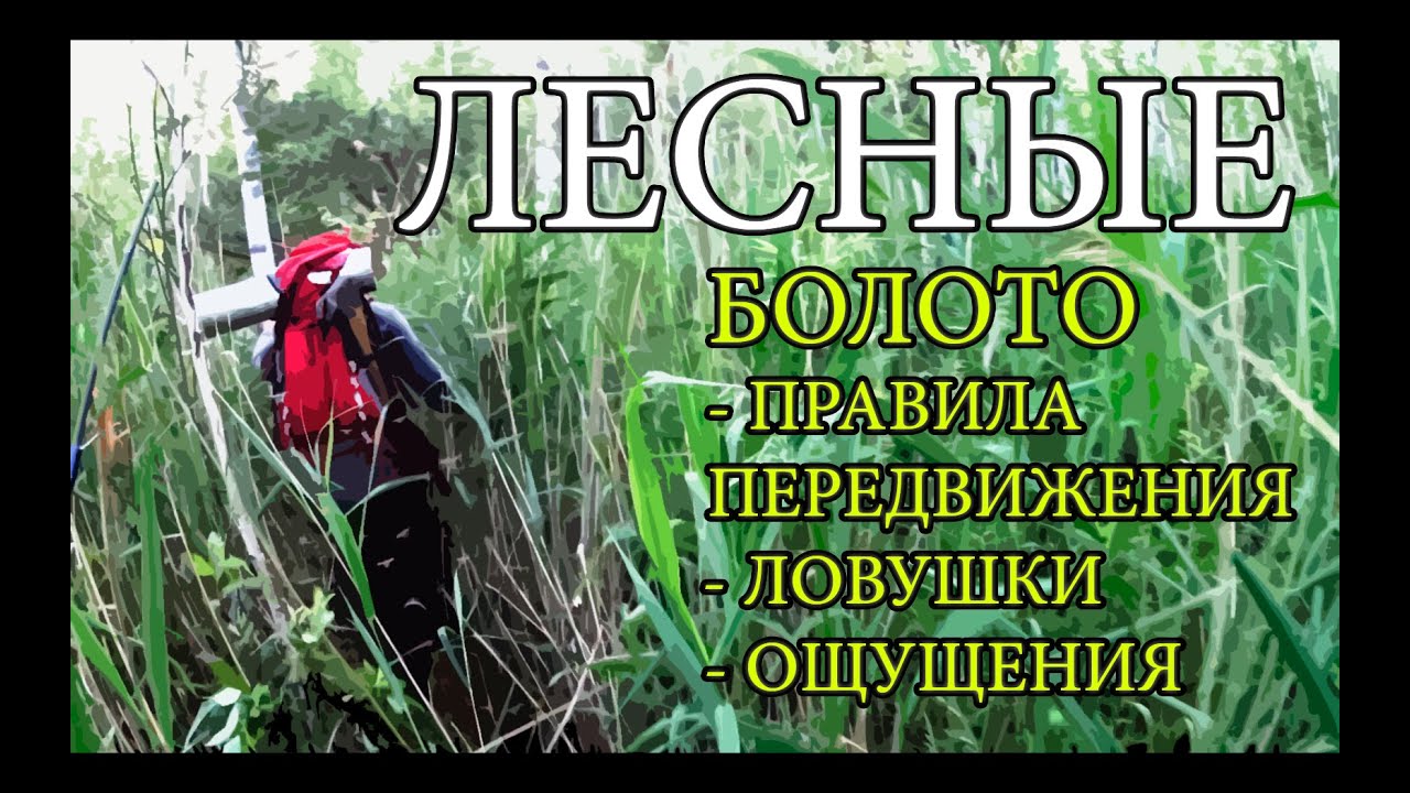 Болото | Правила передвижения | Ловушки | Ощущения | Swamp Adventures