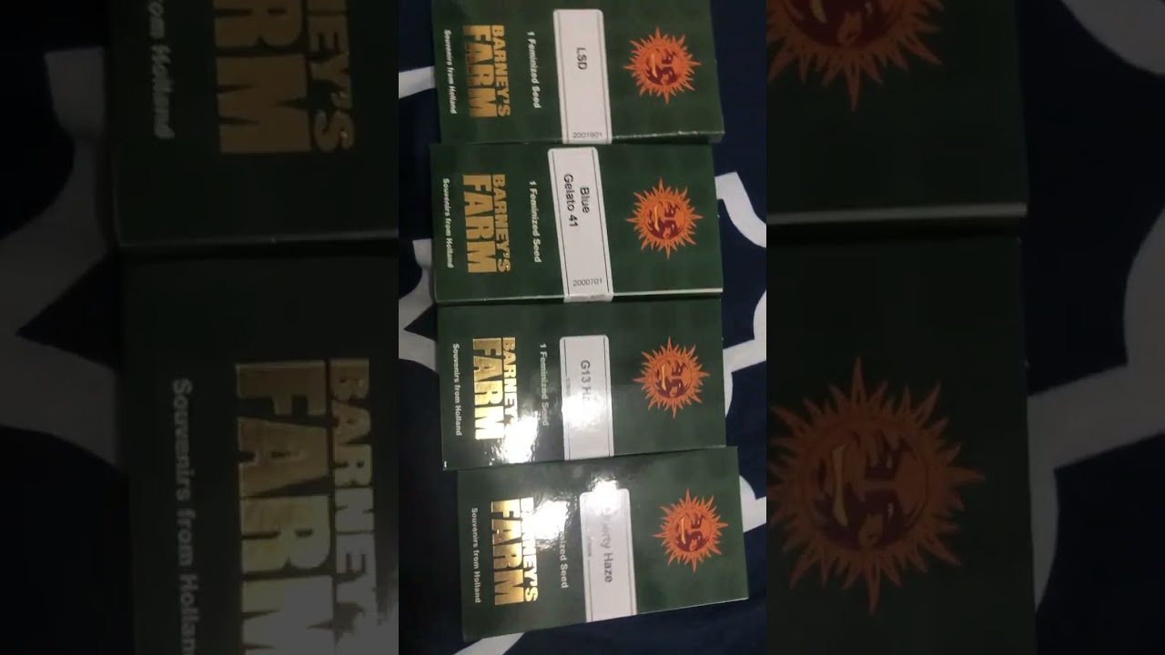 My next grow seeds from Barney farm