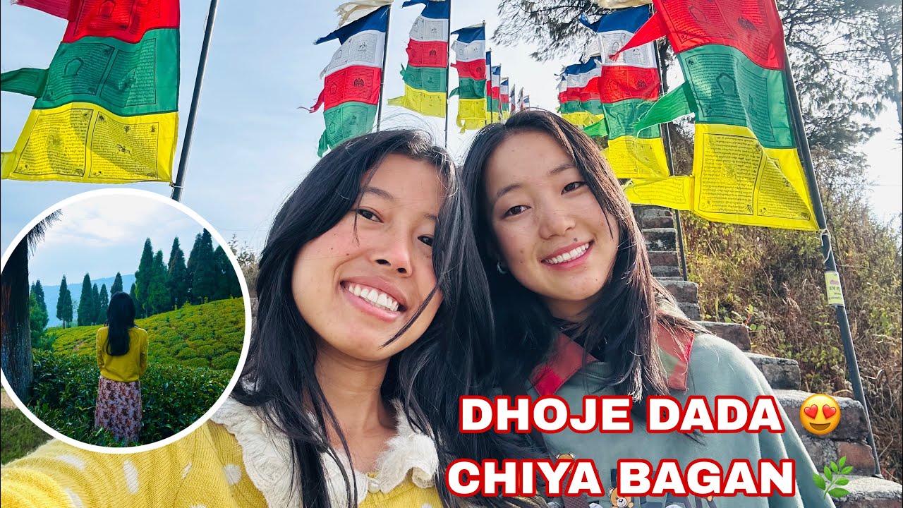 Dhoje Dada को हावा, Chiya Bagan को हरियाली | Vlog