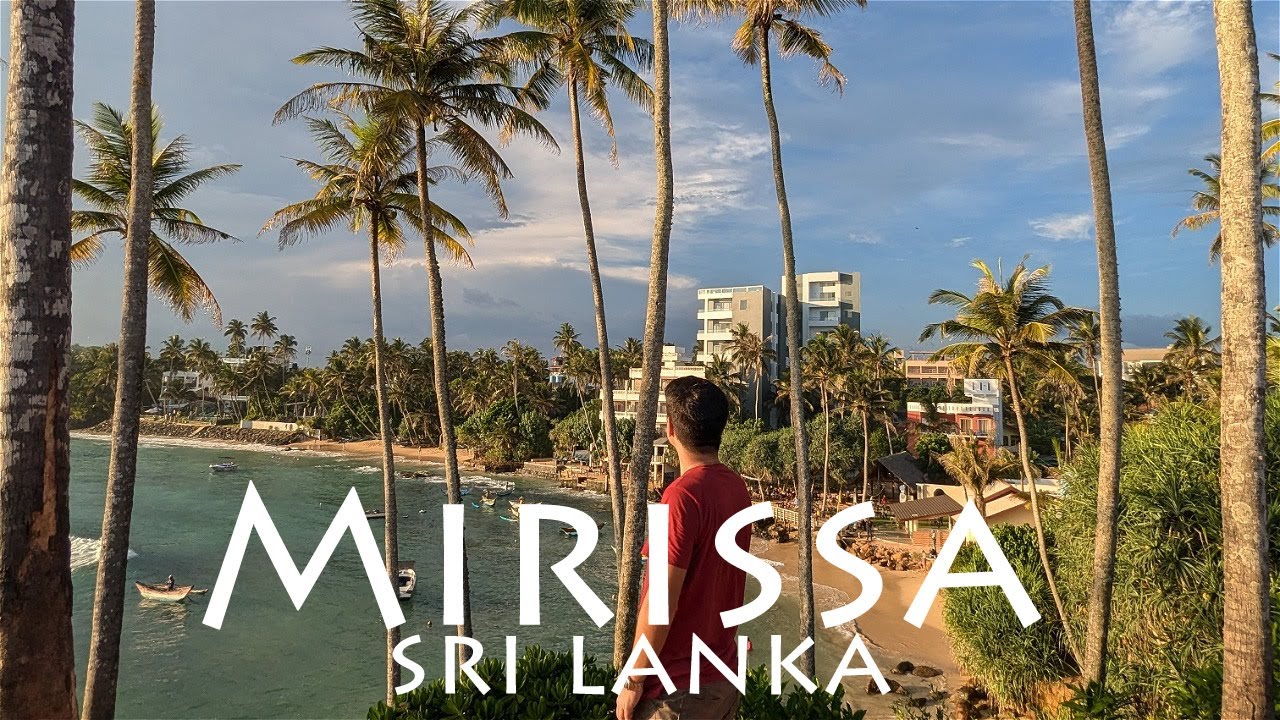 Mirissa, Sri Lanka: Tropik Cennet ve Balina Gözlem Noktası!