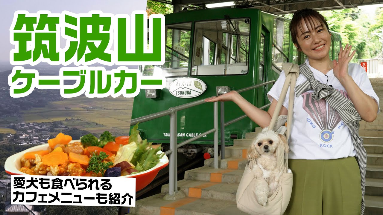 【さやかと愛犬リリーおいしい休日】磯山さやかが夏の筑波山でペット旅