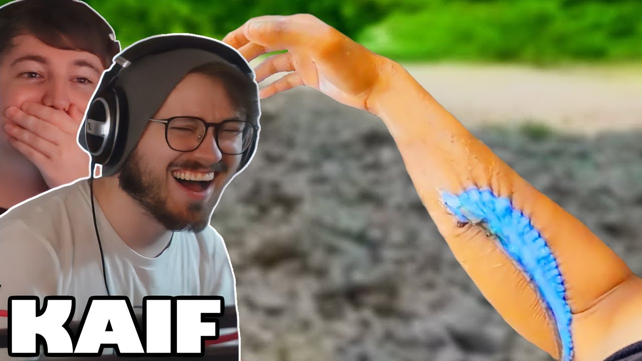 REGRETTABLE DAILY DOSE OF INTERNET MOMENTS | NoBeans REACT