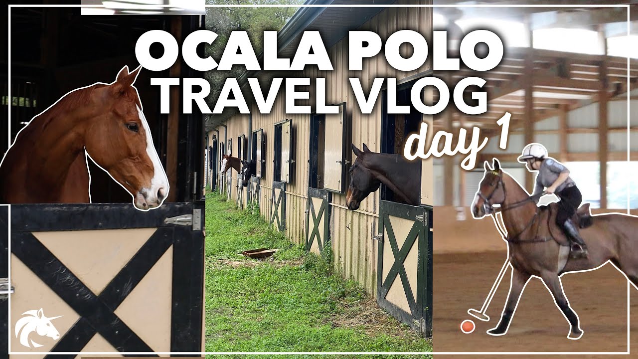 TRAVEL VLOG | Riding & Polo in Ocala! | Hailey Liberty