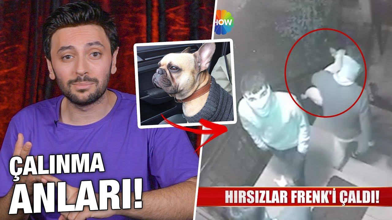 EVİME HIRSIZ GİRDİ! (KÖPEĞİMİ VE ARABAMI ÇALDI)
