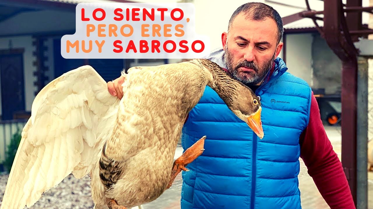 Ganso asado | receta casera de ganso @GEORGY KAVKAZ Cocinero
