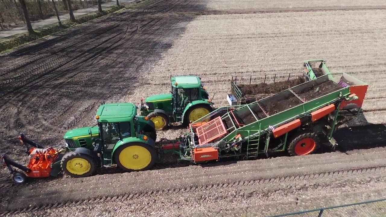 Asperge plantgoed rooien