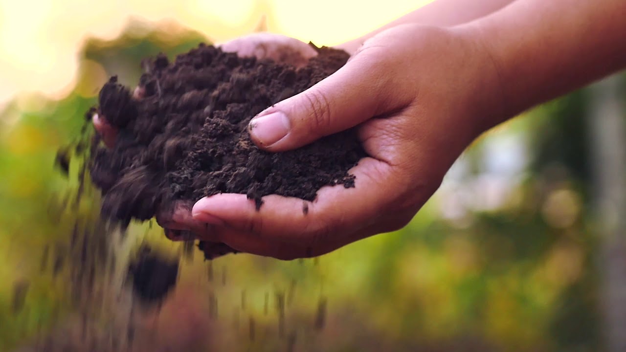 2019 Clean and Green Organics