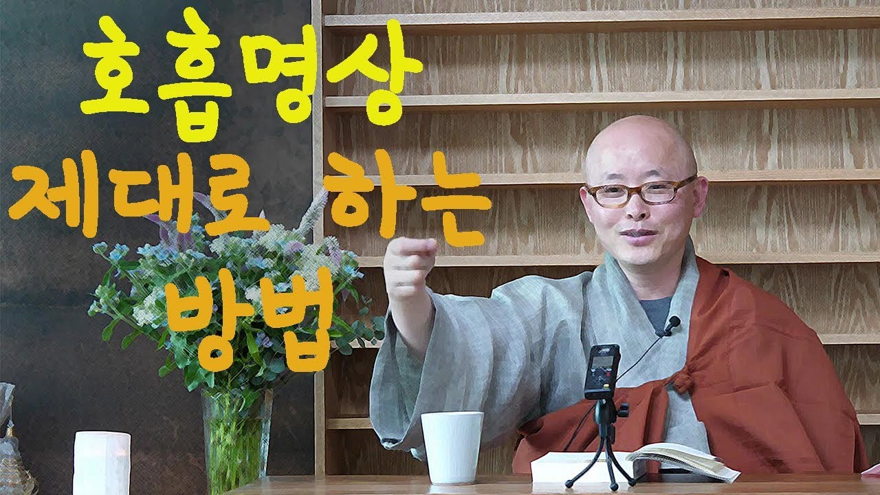 호흡명상 제대로 하는 방법, 힘빼기 릴렉스, 호흡 그대로 내버려두기/ 혜안스님/ 아잔 브람의  놓아버리기 명상 4강
