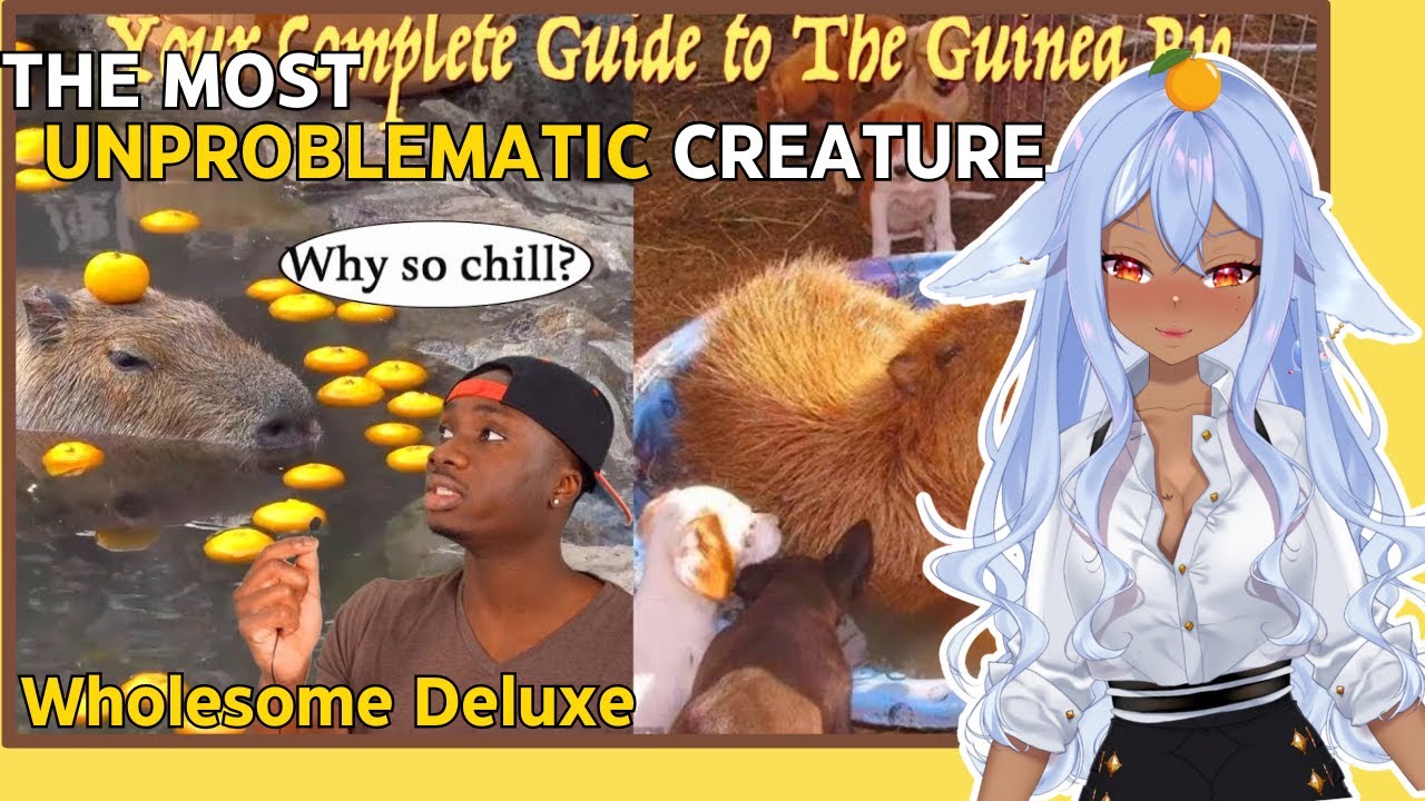 Capybaras Are The Definition of Chill Guy | Channie Reacts to Casual Geographic