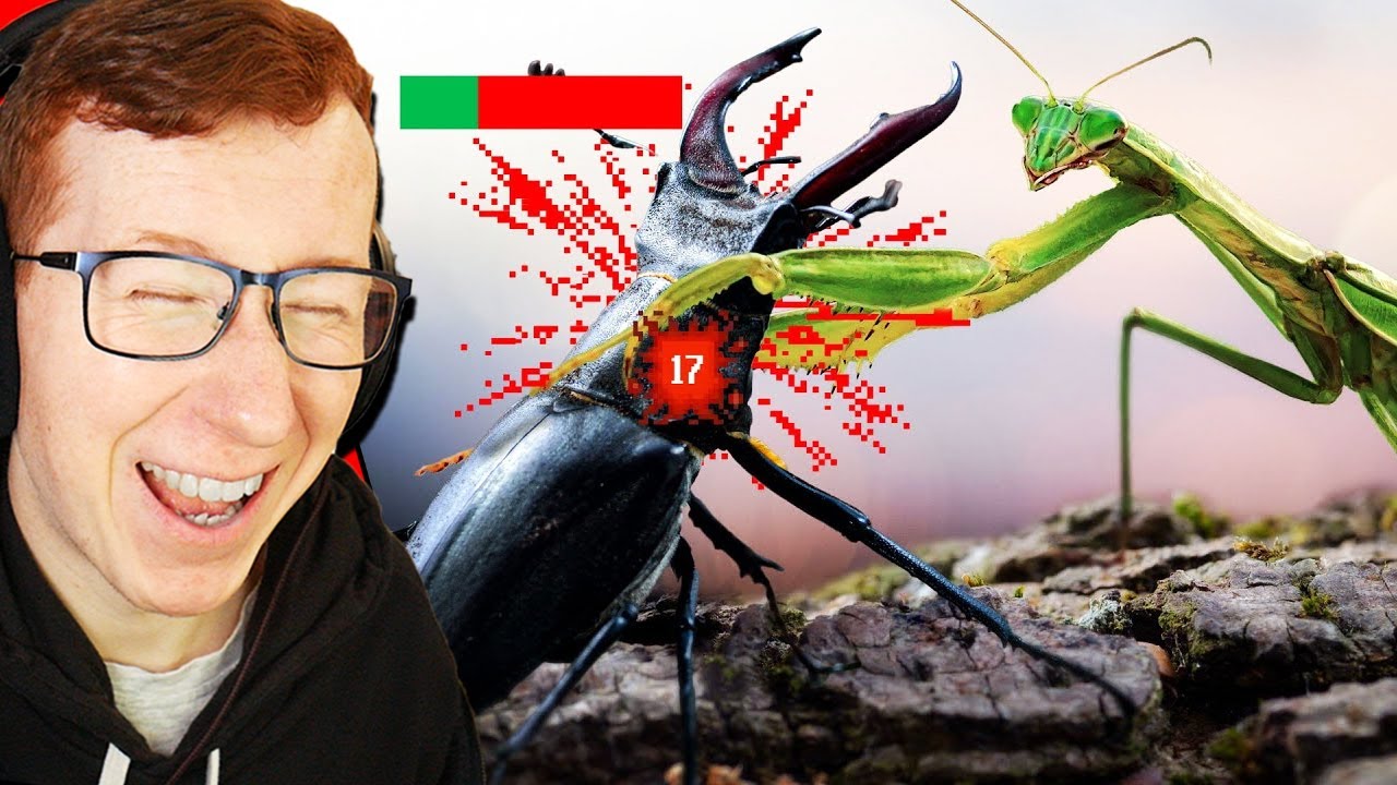 Patterrz Reacts to the Insect Tier List