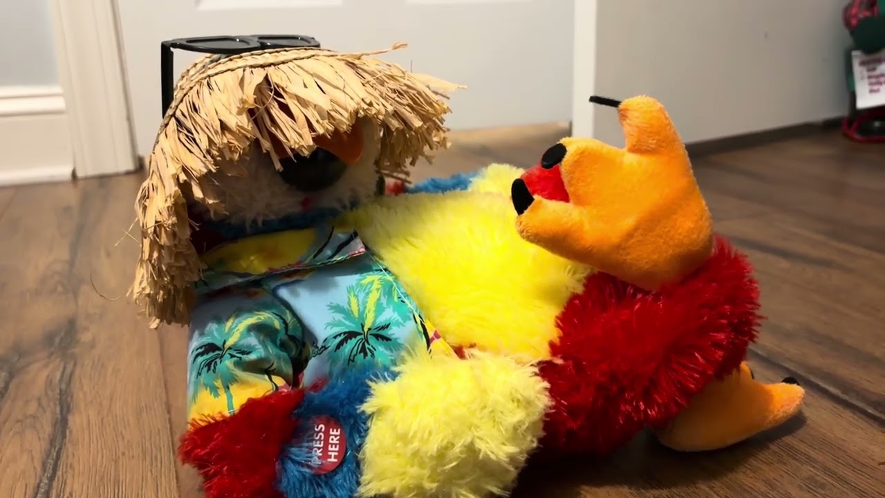 Cuddle barn 2012 singing parrot (thrift store find)