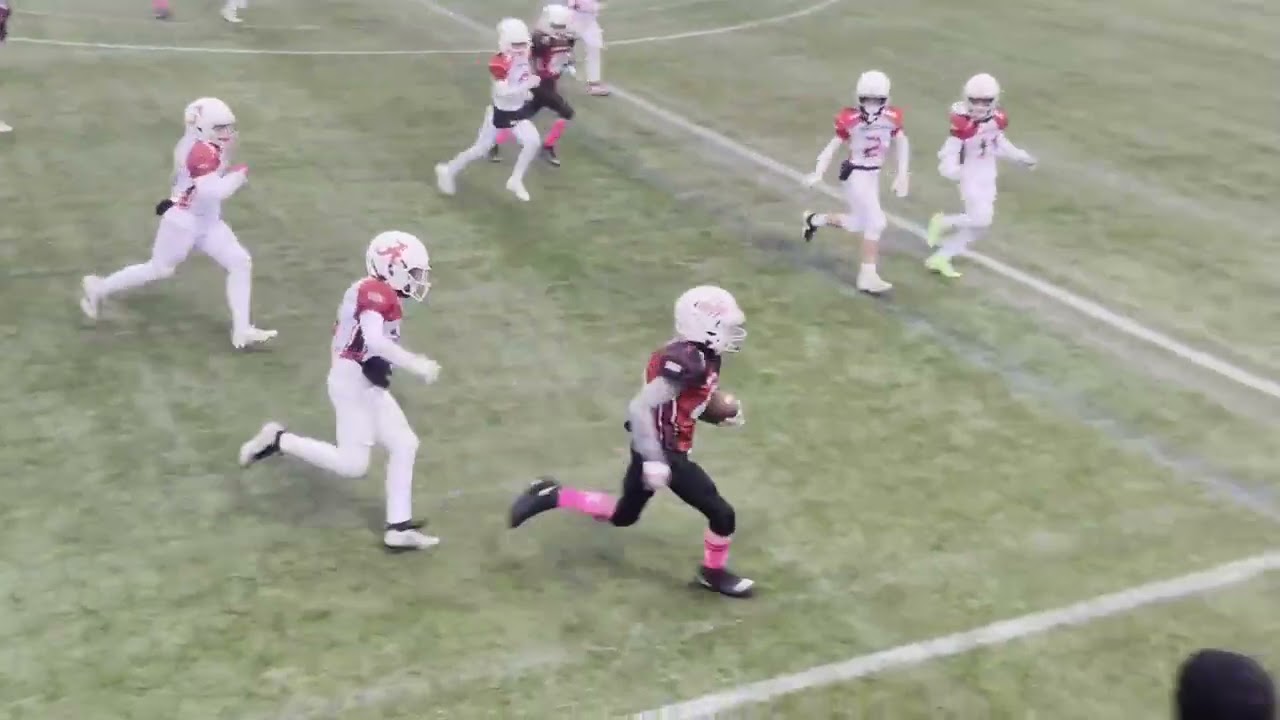 Arvada Wildcats AR3 @ Arvada 1 7th Grade 2024